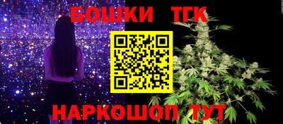 стаф Коломна
