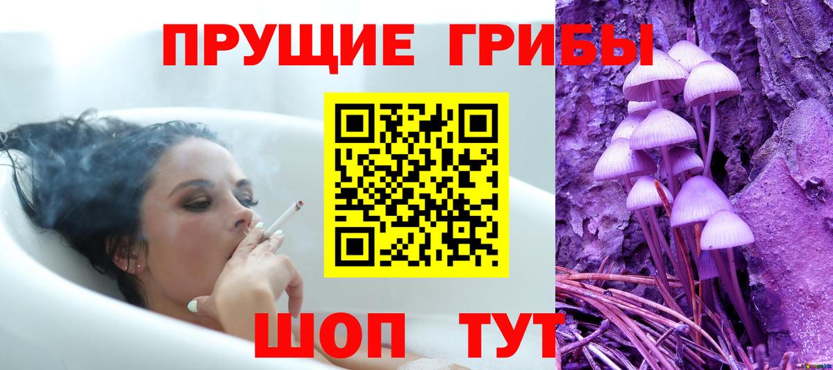 Псилоцибиновые грибы Magic Shrooms  где продают   Псилоцибиновые грибы Magic Shrooms  Нальчик  Вход с VPN 